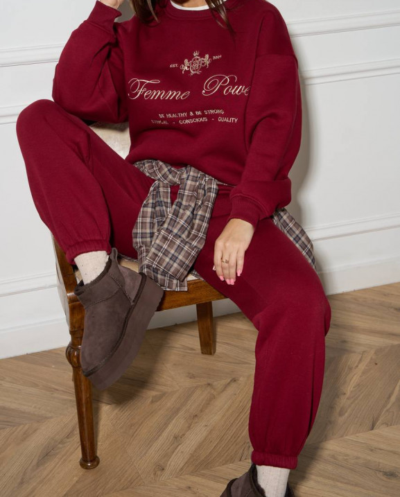 59/1 спортивний костюм на флісі з вишивкою світшот з джогерами 